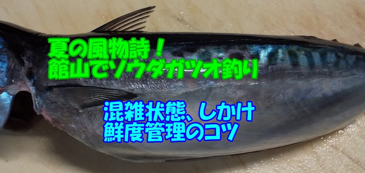 Dsc 2426 コピー コピー