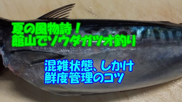 Dsc 2426 コピー コピー