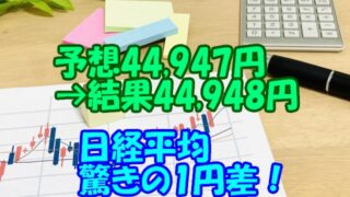 23640181 s コピー