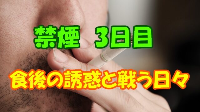 アイキャッチ (2)